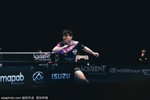 主场告别战！樊振东独得2分助队取胜 德甲常规赛收获17胜